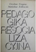 Pedagogika resocjalizacyjna