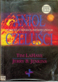 Anioł czeluści