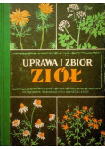 Uprawa i zbiór ziół