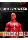 Ciało człowieka