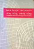 Lewy mózg prawy mózg z perspektywy neurobiologii poznawczej