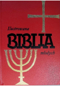 Ilustrowana Biblia młodych