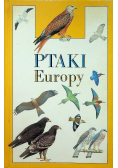 Ptaki Europy