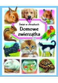 Świat w obrazkach  domowe zwierzątka