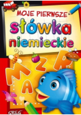 Moje pierwsze słówka niemieckie, nowa