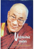 Uzdrawianie gniewu