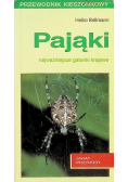 Pająki