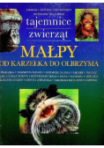 Małpy od karzełka do olbrzyma