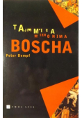 Tajemnica Hieronima Boscha
