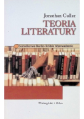 Teoria literatury