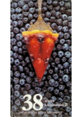 Encyklopedia sztuki kulinarnej Tom 38 Ciasta i ciasteczka Część 2