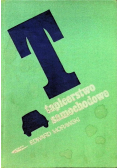 Tapicerstwo samochodowe