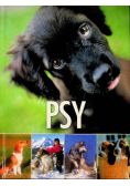 Psy
