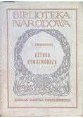 Sztuka Rymotwórcza