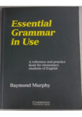 Essential grammar in Use