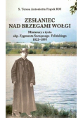 Zesłaniec nad brzegami Wołgi