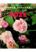 Róże