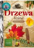 Młody Obserwator Przyrody Drzewa leśne