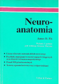 Neuroanatomia