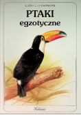 Ptaki egzotyczne