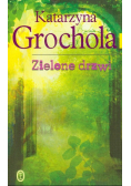 Zielone drzwi