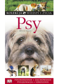 Psy
