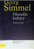 Filozofia kultury Wybór esejów