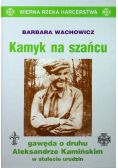 Kamyk na szańcu