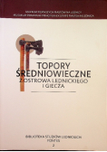 Topory średniowieczne z Ostrowa Lednickiego i Giecza