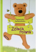 Żółwia Polana
