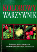 Kolorowy warzywnik
