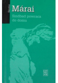 Sindbad powraca do domu