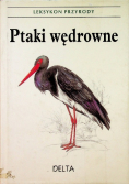 Leksykon przyrody Ptaki wędrowne