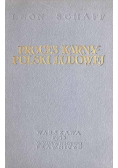Proces karny polski ludowej
