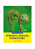Porosty mszaki paprotniki