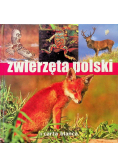 Zwierzęta polski