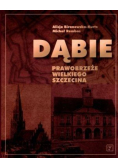 Dąbie Prawobrzeże Wielkiego Szczecina