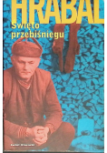 Święto przebiśniegu