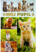 Mój Pupil