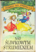 Nad śliwkowym strumieniem