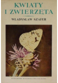 Kwiaty i zwierzęta