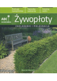 Żywopłoty zakładanie i pielęgnacja