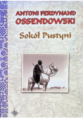 Sokół Pustyni