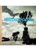 Wielkopolska