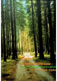 Życie konsekrowane w trzecim wieku