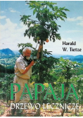 Papaja drzewo lecznicze
