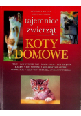 Koty domowe