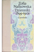 Dzienniki 1899 1905