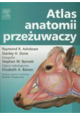 Atlas anatomii przeżuwaczy