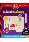 Łamigłówki